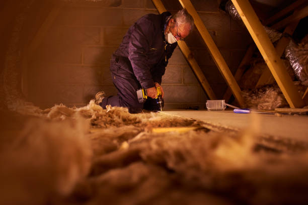 Best Cellulose Insulation in Decatur, TX
